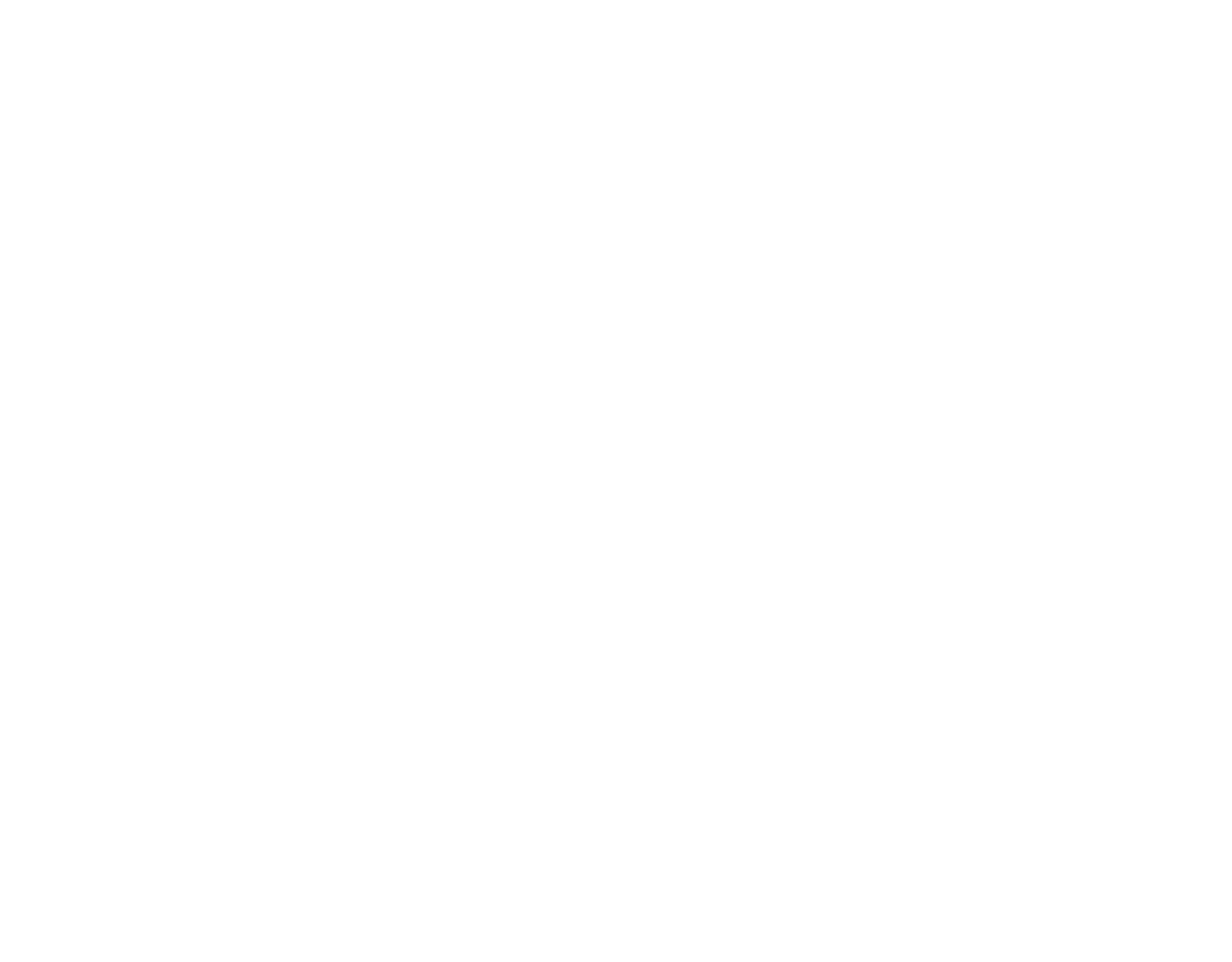 Neon Destruction Logo